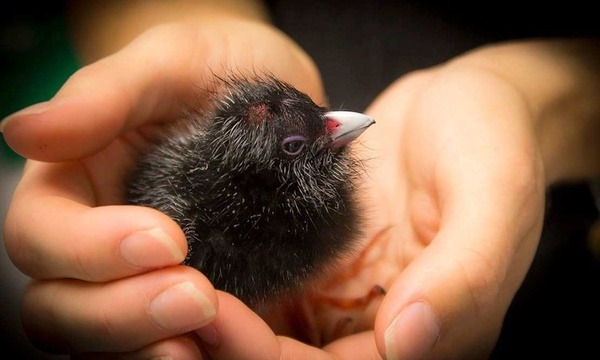 马来西亚双威大学课程设置完整盘点：专业课、选修与实验一览