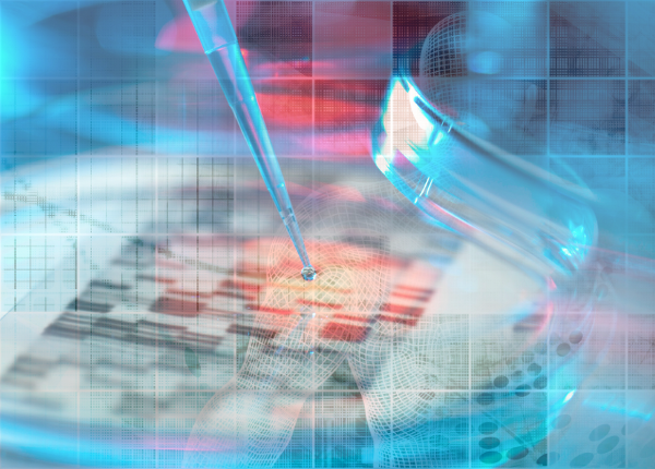 马来西亚双威大学排名走势解析：2025年是否持续上升？